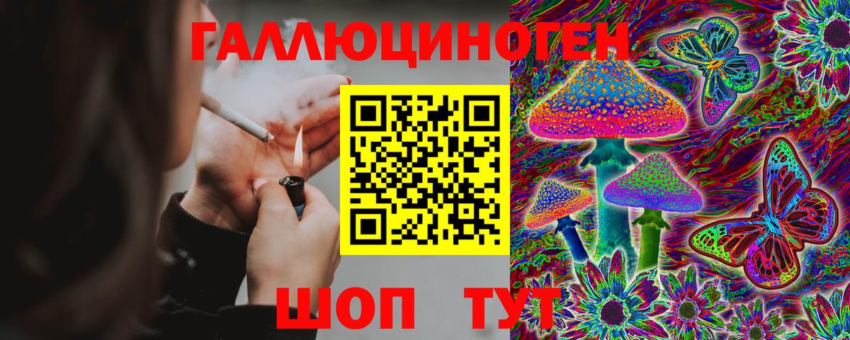Галлюциногенные грибы Cubensis Надым