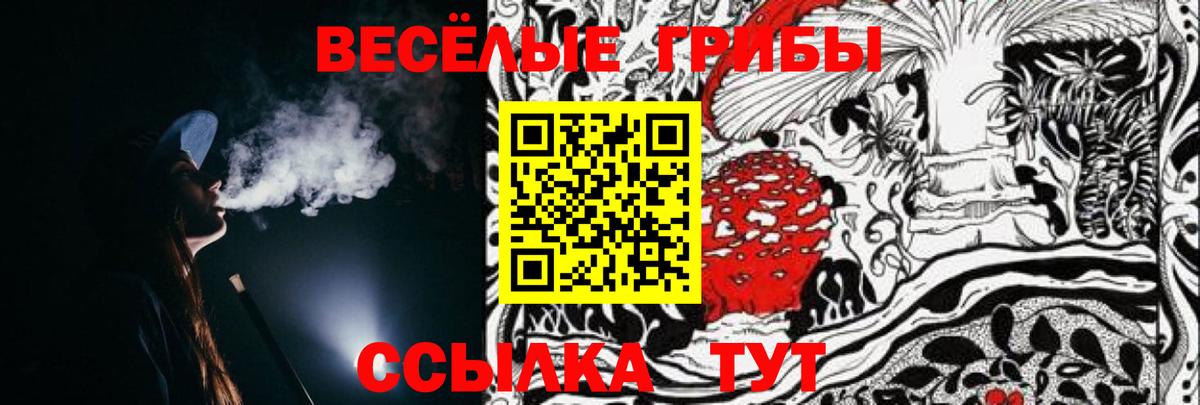 Надым  Галлюциногенные грибы Cubensis  Вход с VPN 